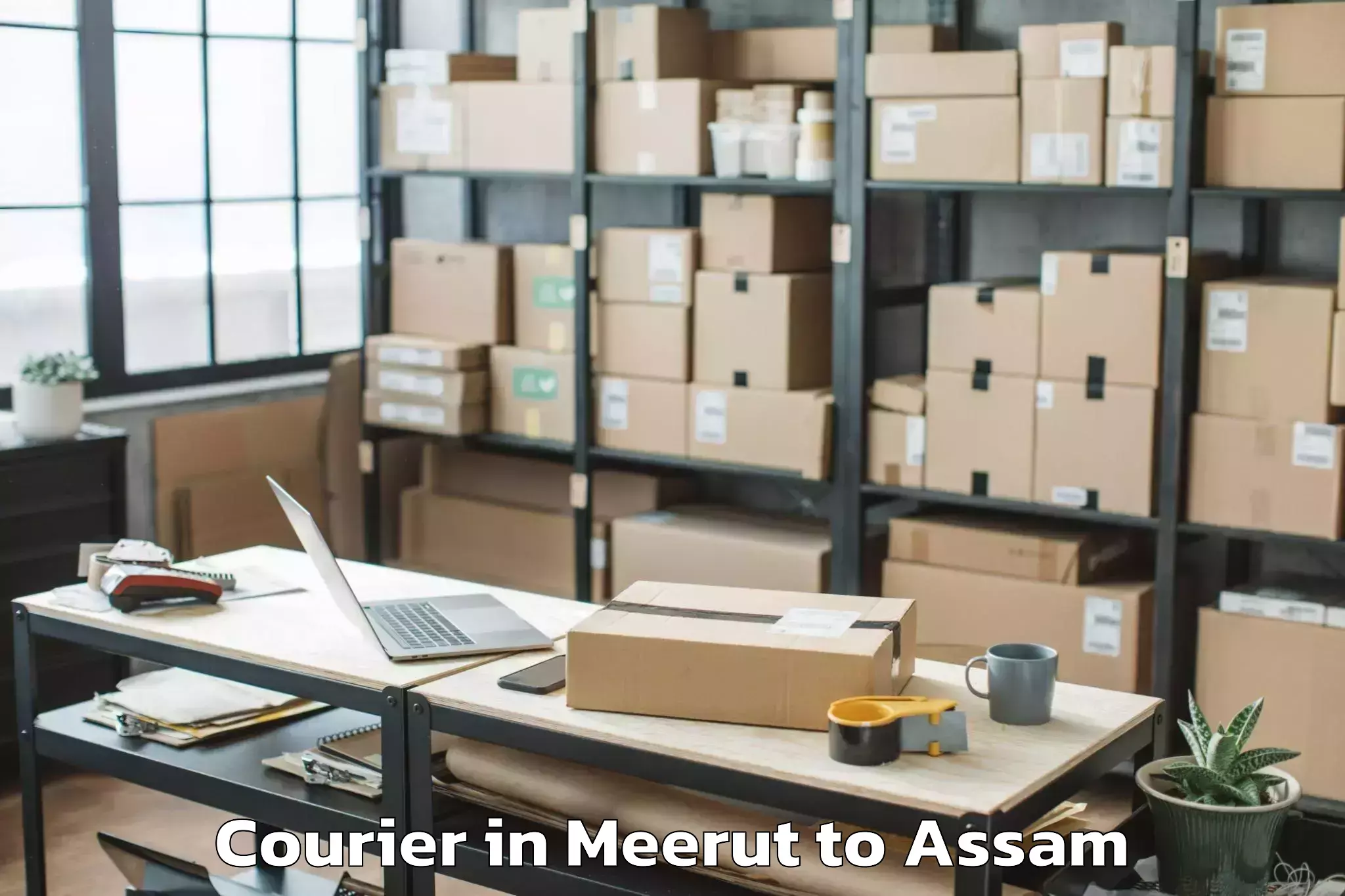 Hassle-Free Meerut to Agamoni Courier